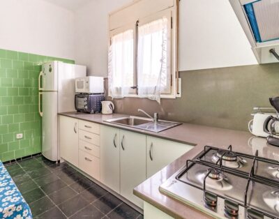 GRIFEU 14 – Apartament amb terrassa exterior i jardí