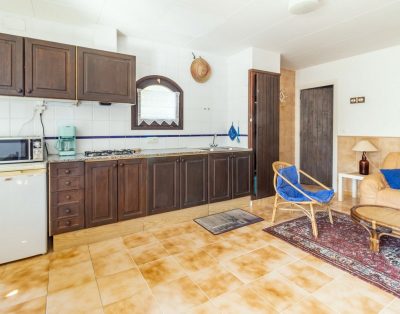 GRIFEU 10 – Apartment with outside terrace