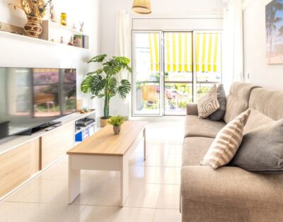 GRIFEU 18 – Apartament amb terrassa i vistes