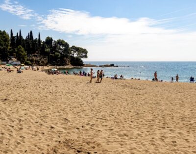 GRIFEU 18 – Apartament amb terrassa i vistes