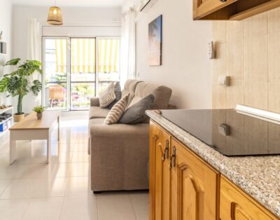 GRIFEU 18 – Apartament amb terrassa i vistes