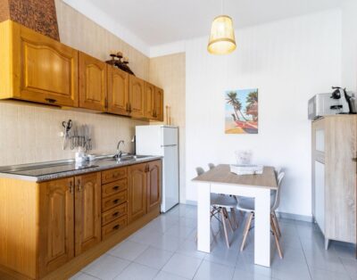 GRIFEU 18 – Apartament amb terrassa i vistes