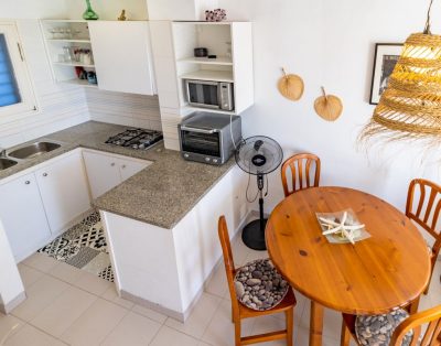 GRIFEU 13.1 – Apartament dúplex amb 2 terrasses i vistes